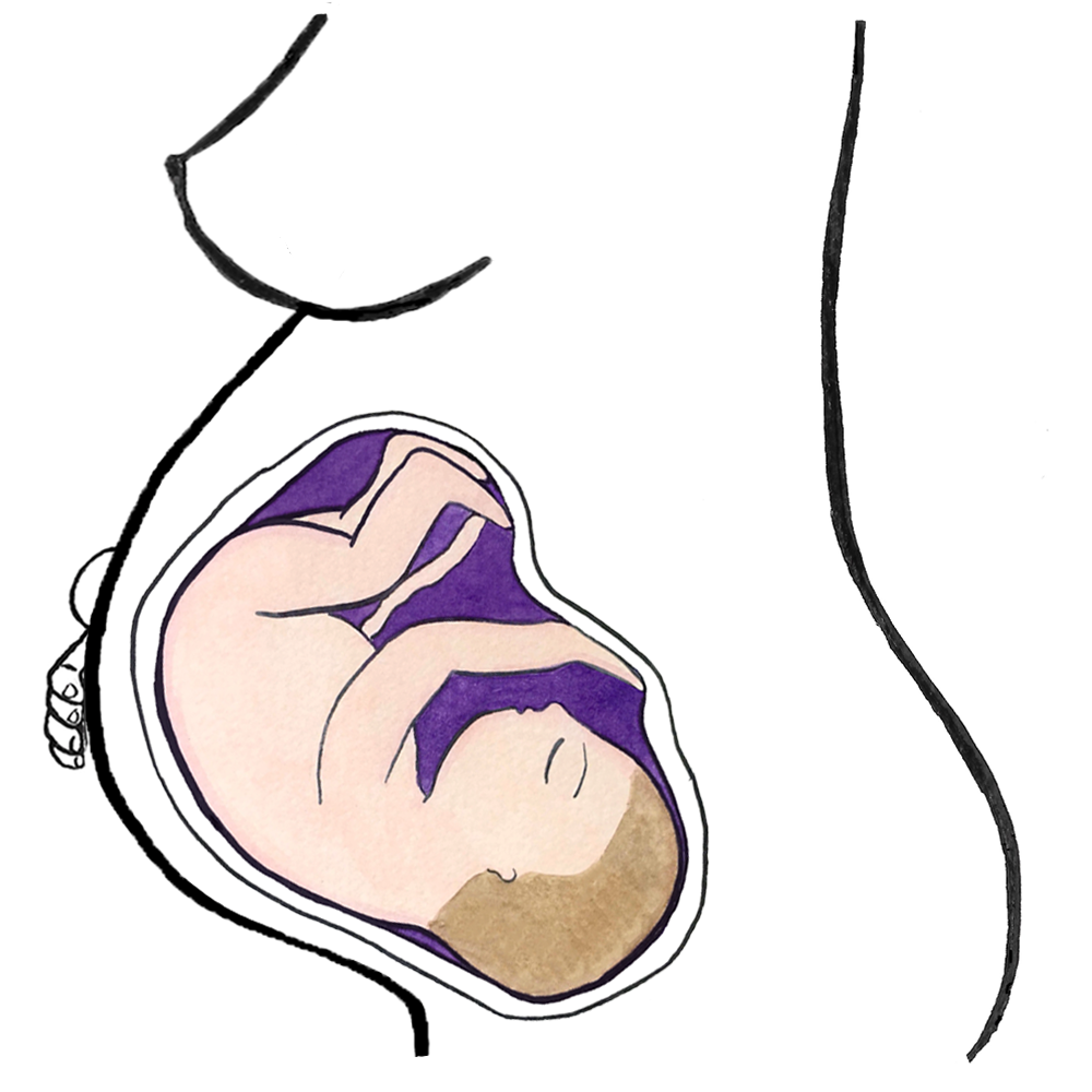 41st-week-of-pregnancy-mali-pregnancy-app-daily-tracker