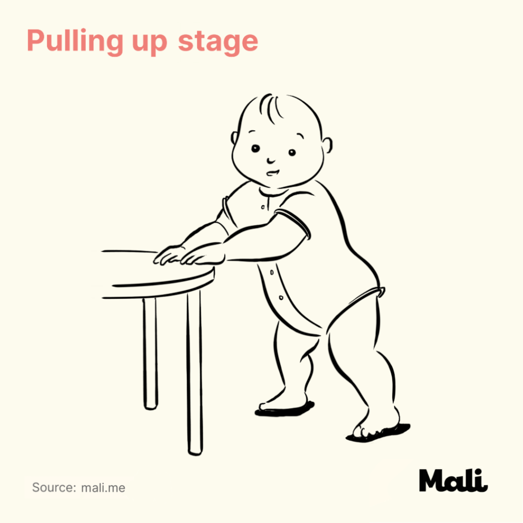 8 stages of baby walking_Pulling up stage by Mali