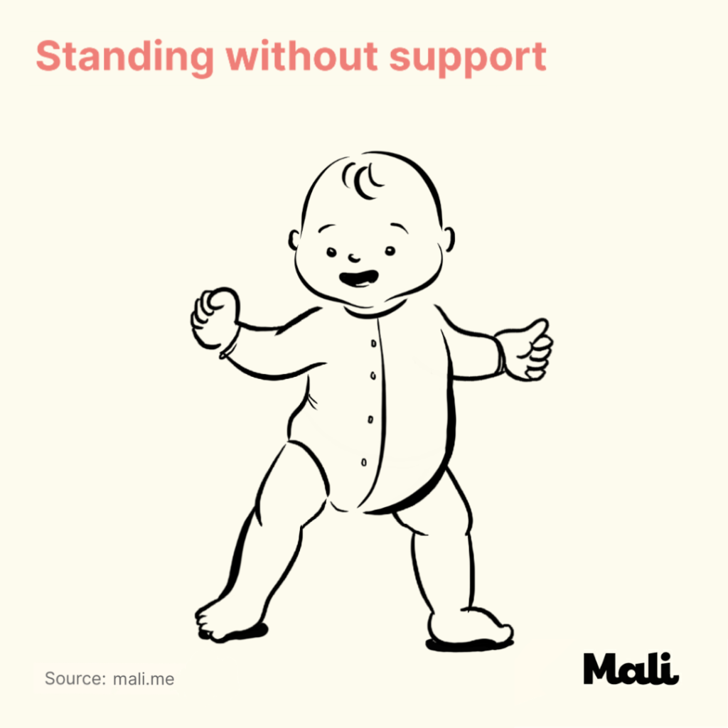 When do babies stand best sale without support