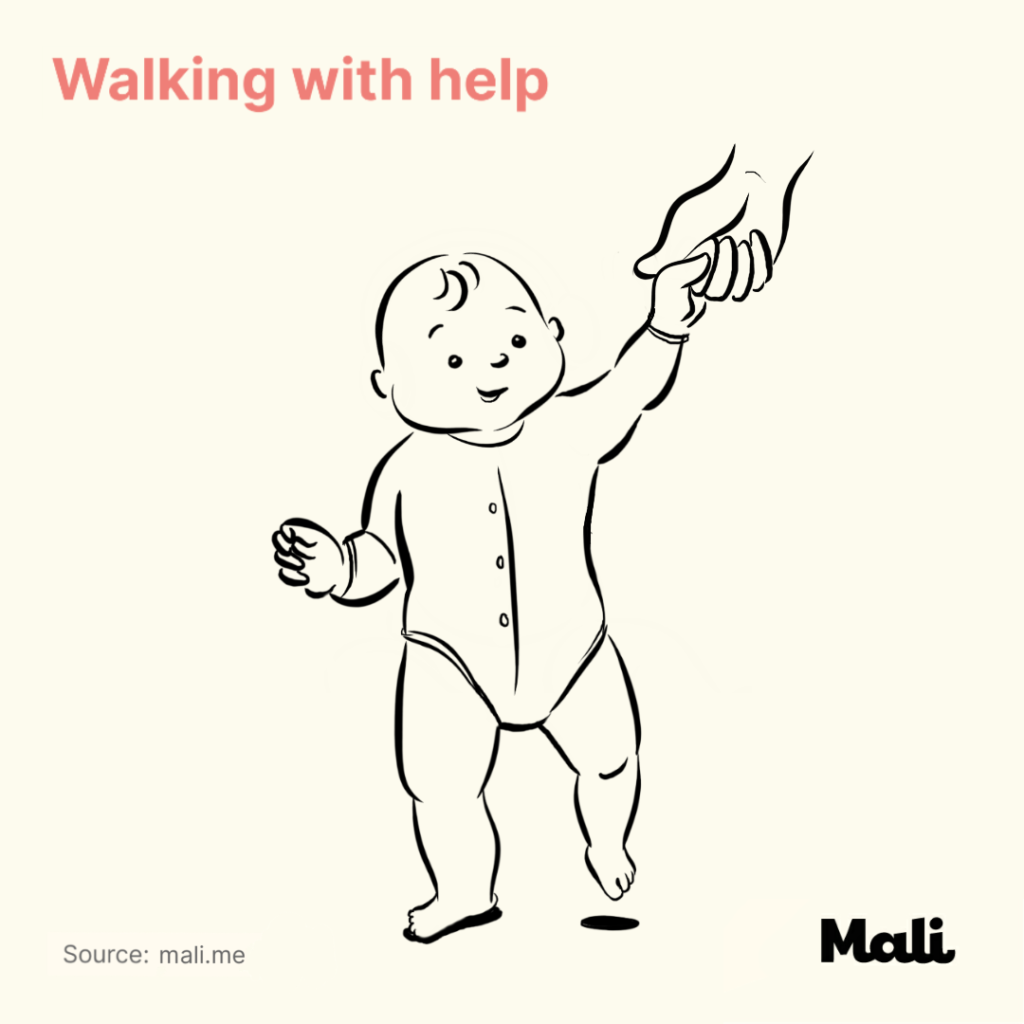 8 stages of baby walking_Walking with help by Mali