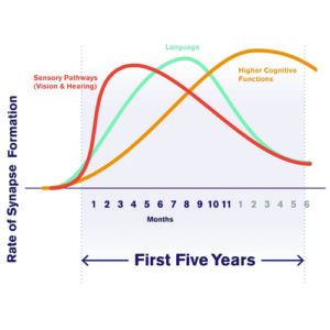 The first 3 years most critical learning period Eng