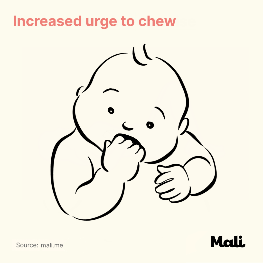 increased urge to chew_6 ways to determine whether your baby is sick or teething? by Mali