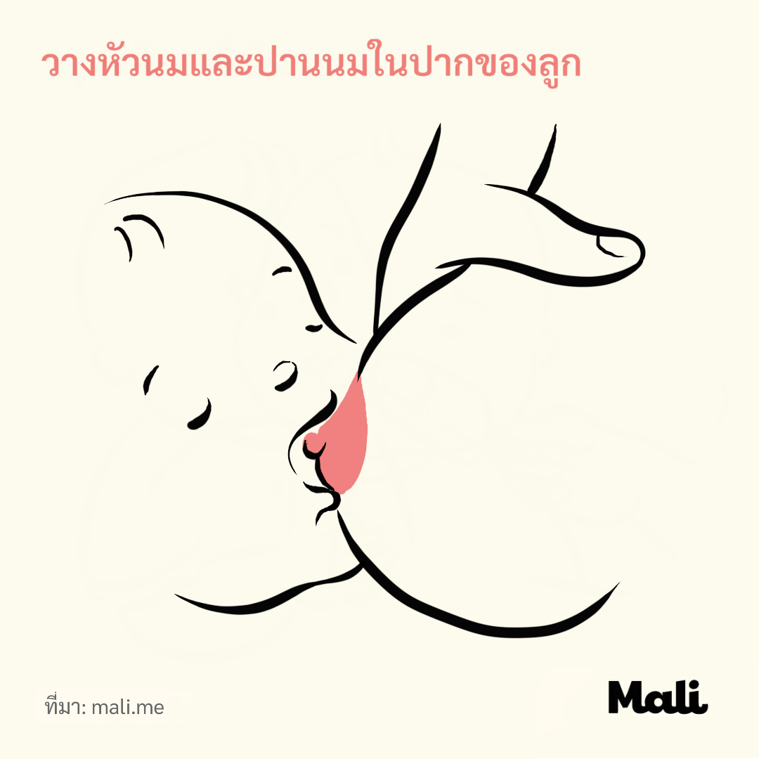 Put nipple and areola in mouth_15 problems with breastfeeding by Mali_TH