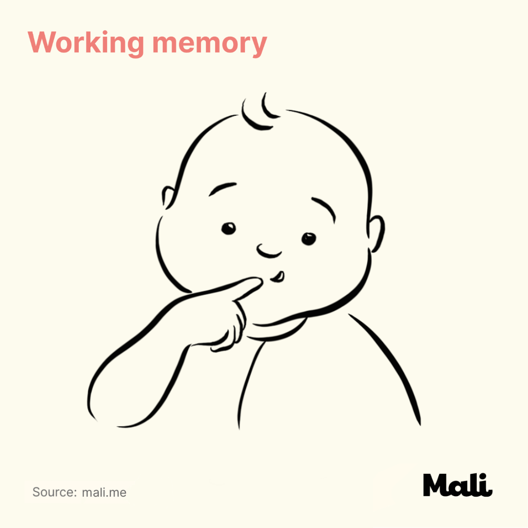 Working memory_The benefits of peek-a-boo and hide and seek by Mali