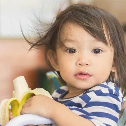 Should I raise my baby vegetarian? Mali Pregnancy & Parenting