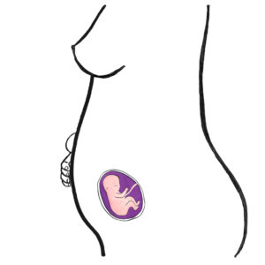 baby's development 15 weeks