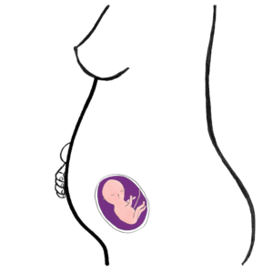 baby's development 17 weeks