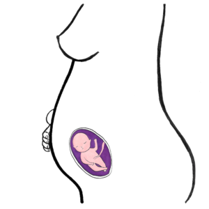 baby's development 19 weeks
