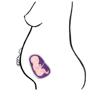 baby's development 21 weeks