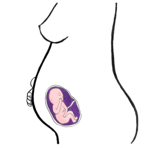 baby's development 22 weeks