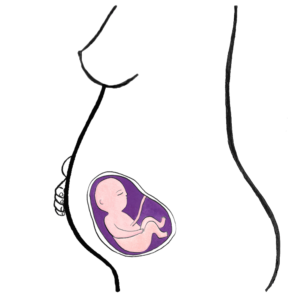 baby's development 23 weeks