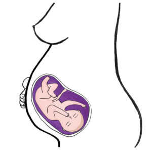 baby's development 29 weeks
