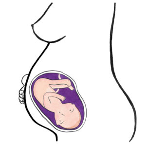 baby's development 31 weeks