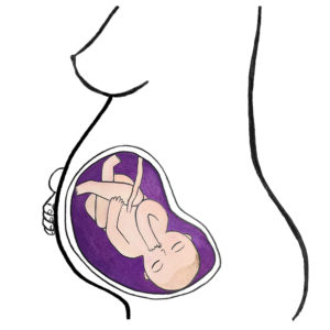 baby's development 32 weeks