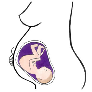 baby's development 33 weeks