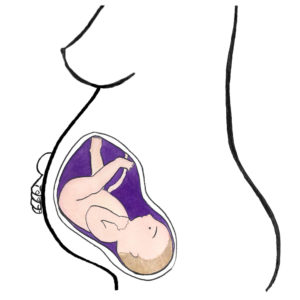 baby's development 34 weeks