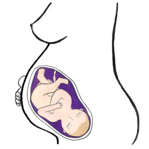 baby's development 35 weeks