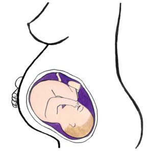 baby's development 36 weeks