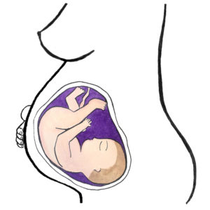 baby's development 37 weeks