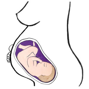 baby's development 38 weeks
