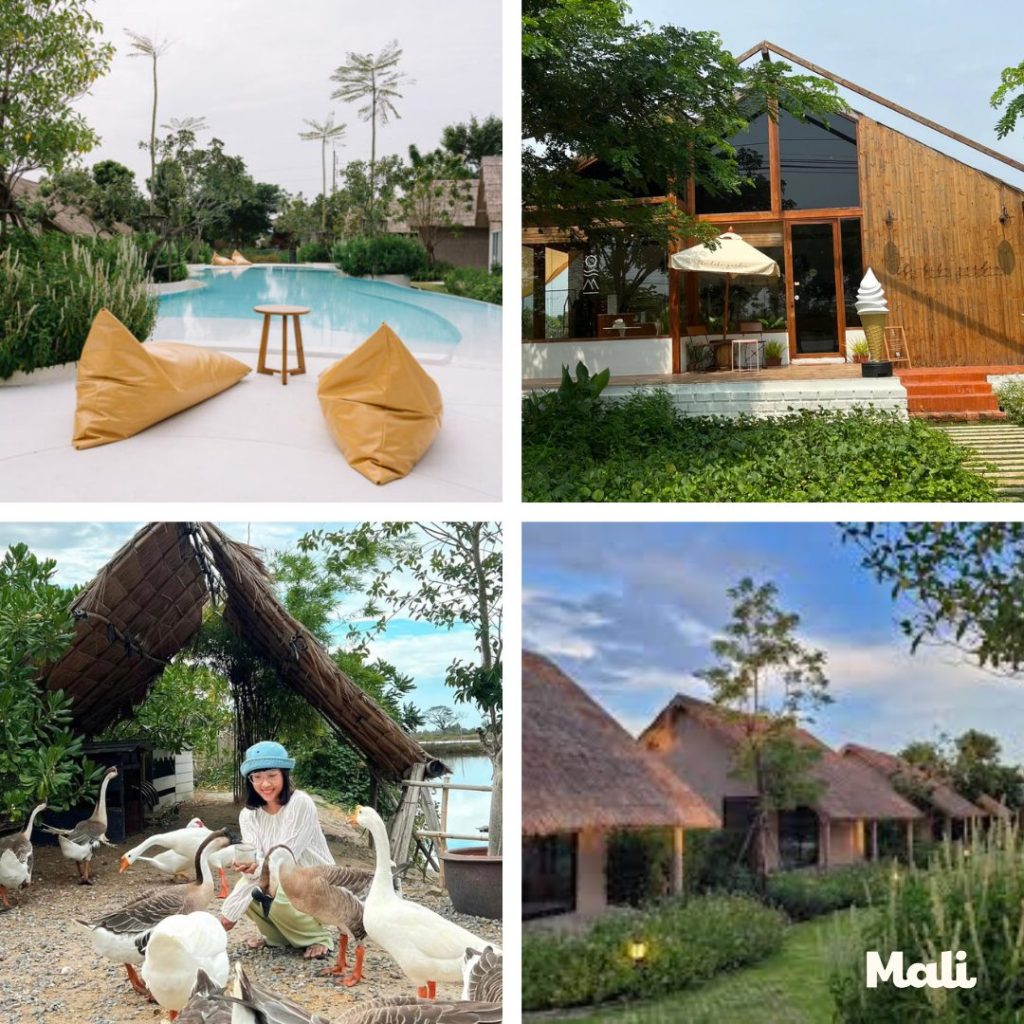 The Life Garden Boutique