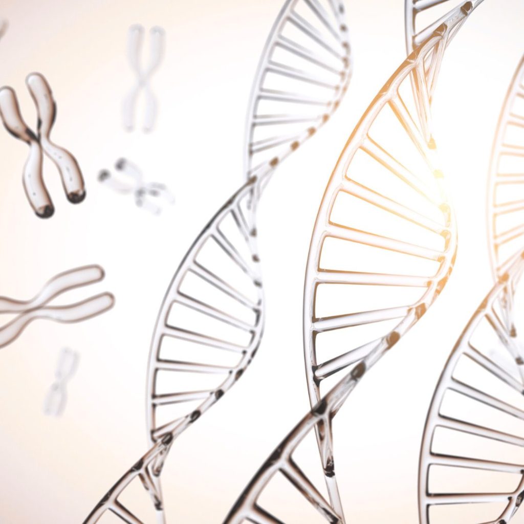 ยีน MTHFR คืออะไร?