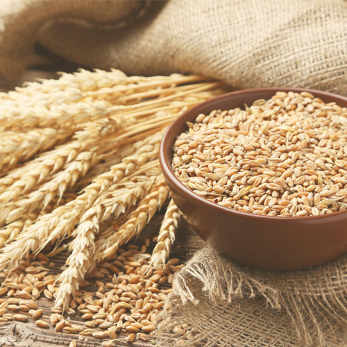 What you should know about wheat and gluten allergy