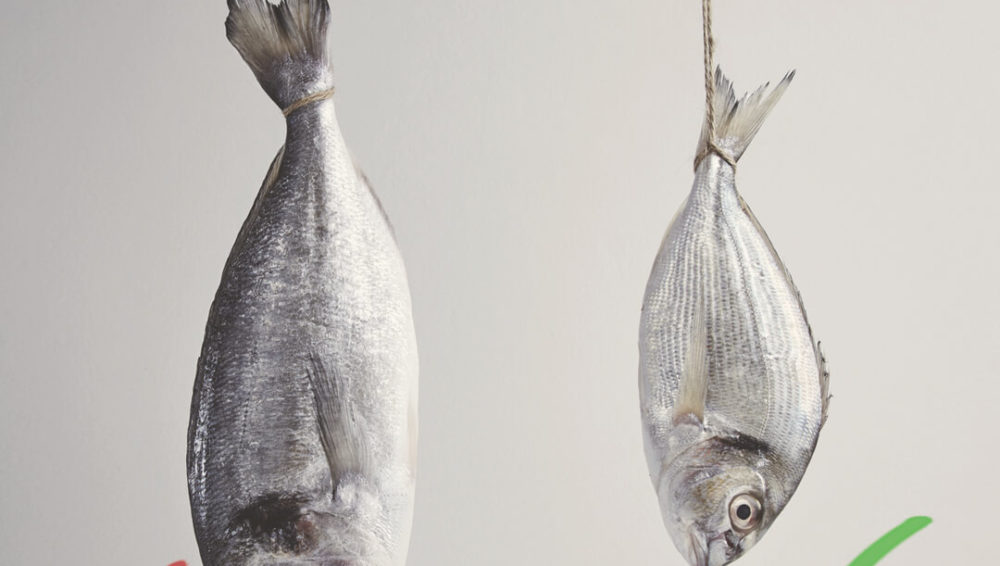 สารปรอทในเนื้อปลาสามารถส่งผ่านน้ำนมแม่ไปยังลูกน้อยได้
