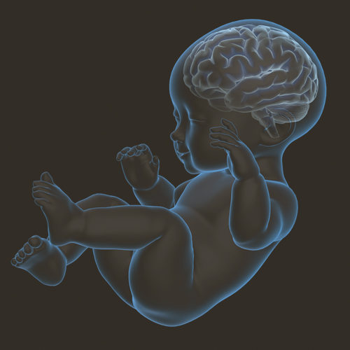 How to support your baby’s brain development