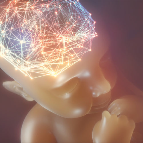 Baby brain development according to neuroscience