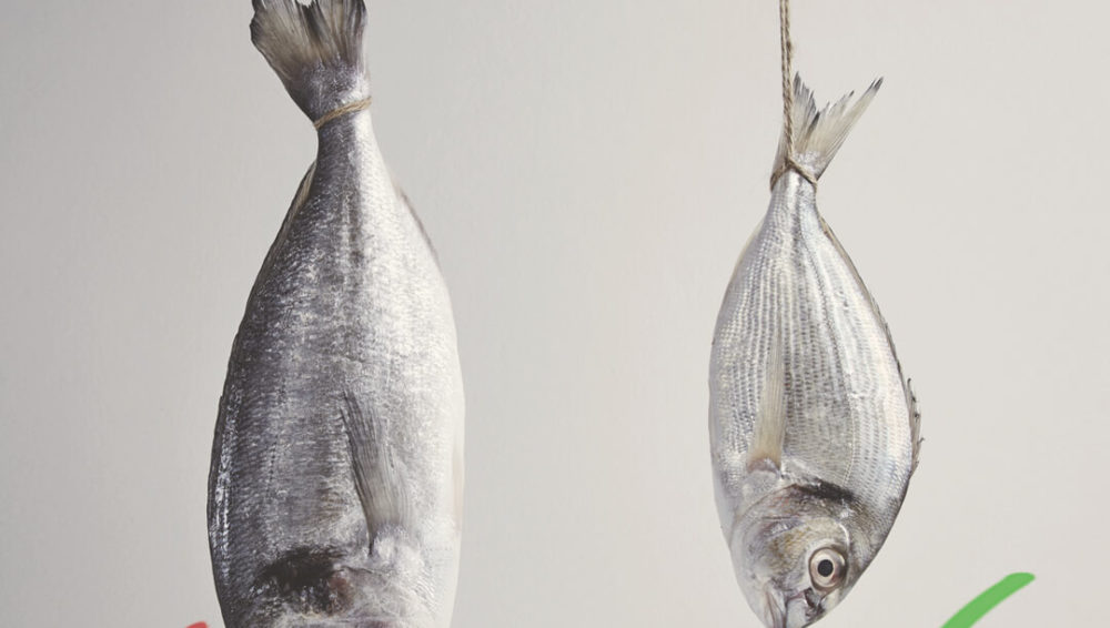 How mercury gets into fish and affects our babies