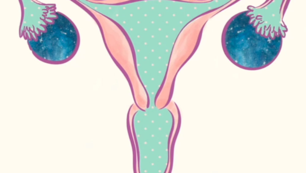 Prenatal development: what we learn inside the womb
