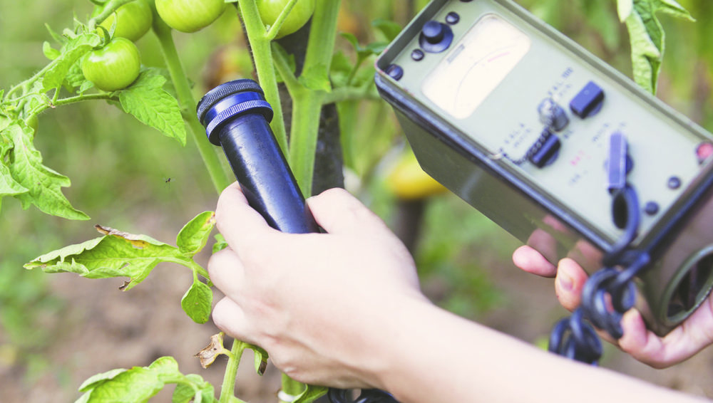 Hidden toxins inside vegetables