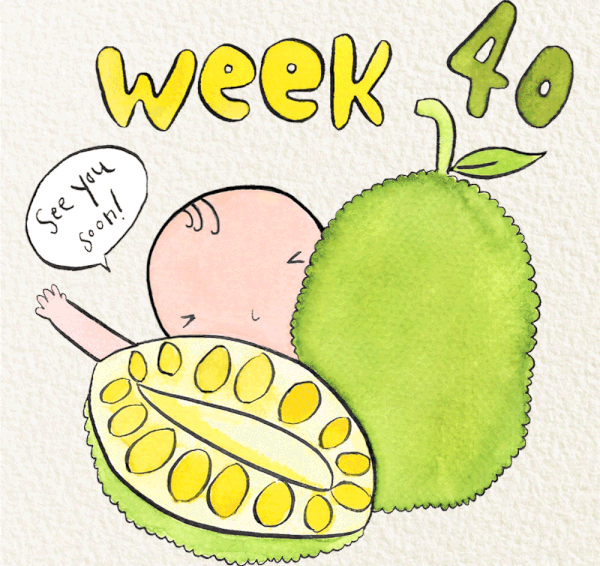 สัปดาห์ที่ 40 ของการตั้งครรภ์
