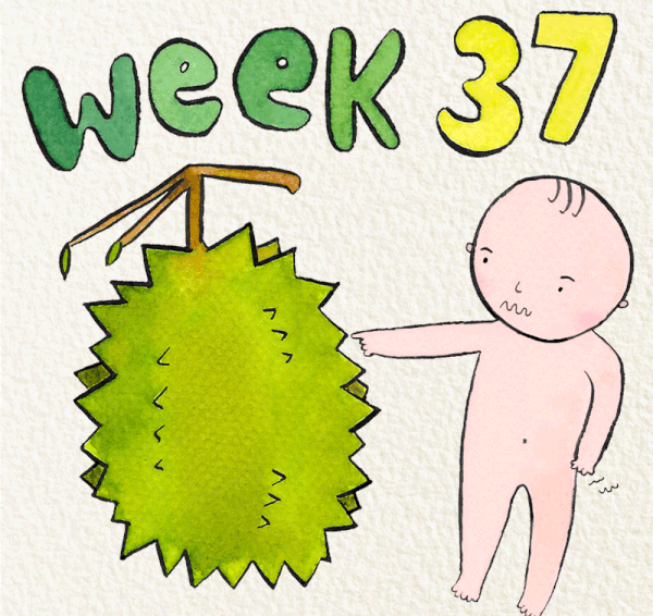 สัปดาห์ที่ 37 ของการตั้งครรภ์