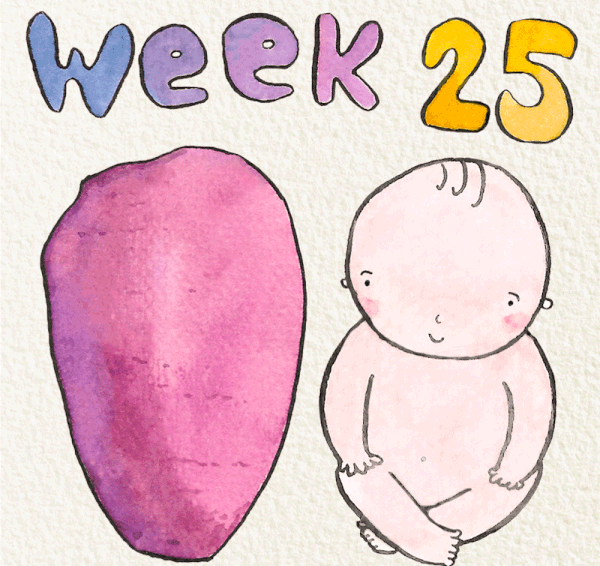 สัปดาห์ที่ 25 ของการตั้งครรภ์