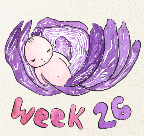 สัปดาห์ที่ 26 ของการตั้งครรภ์