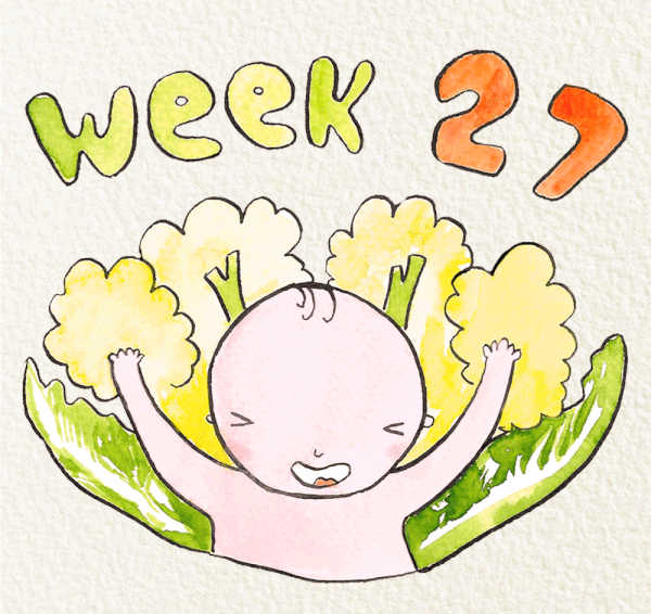 สัปดาห์ที่ 27 ของการตั้งครรภ์