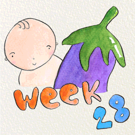 สัปดาห์ที่ 28 ของการตั้งครรภ์