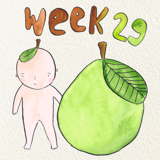 สัปดาห์ที่ 29 ของการตั้งครรภ์