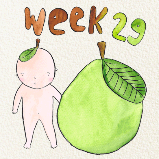 29 weeks pregnant