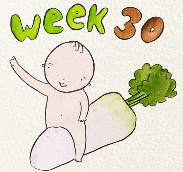 สัปดาห์ที่ 30 ของการตั้งครรภ์