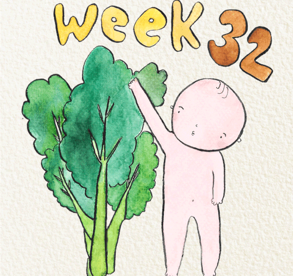 สัปดาห์ที่ 32 ของการตั้งครรภ์