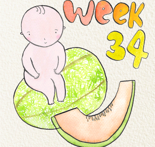 สัปดาห์ที่ 34 ของการตั้งครรภ์