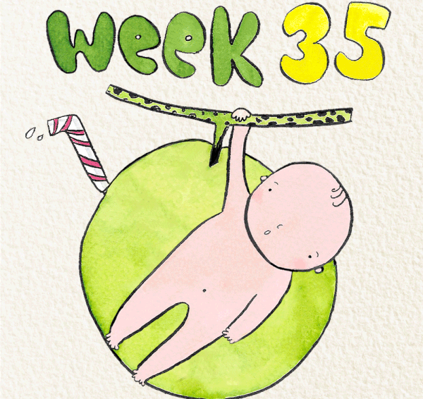 สัปดาห์ที่ 35 ของการตั้งครรภ์