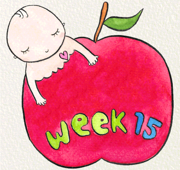 สัปดาห์ที่ 15 ของการตั้งครรภ์