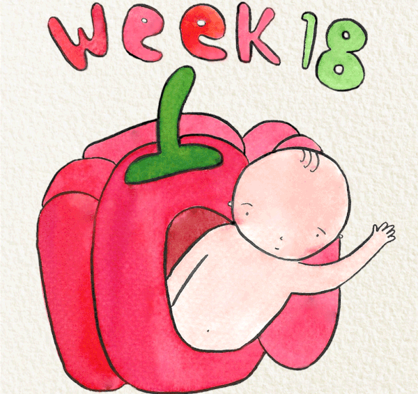 สัปดาห์ที่ 18 ของการตั้งครรภ์